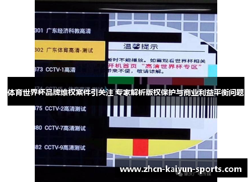 体育世界杯品牌维权案件引关注 专家解析版权保护与商业利益平衡问题 体育世界杯品牌维权案件引关注 专家解析版权保护与商业利益平衡问题