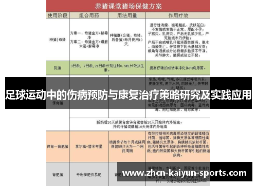 足球运动中的伤病预防与康复治疗策略研究及实践应用 足球运动中的伤病预防与康复治疗策略研究及实践应用