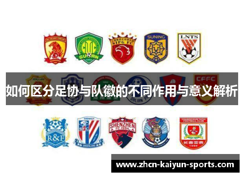如何区分足协与队徽的不同作用与意义解析