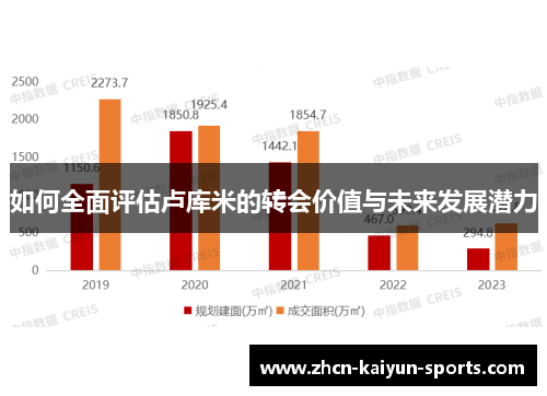 如何全面评估卢库米的转会价值与未来发展潜力