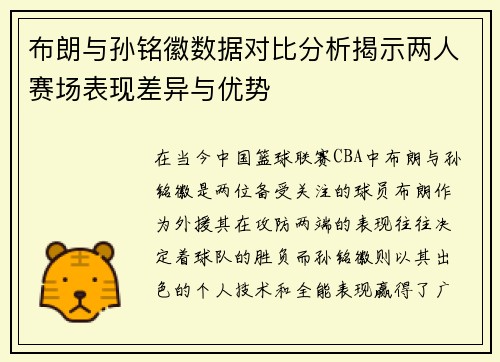 布朗与孙铭徽数据对比分析揭示两人赛场表现差异与优势